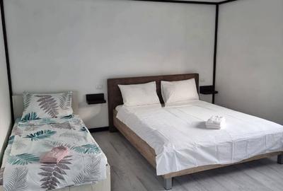 Casă în Ocnele Mari - 1