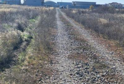 Teren intravilan 1000 mp Magnolia - 2