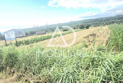 Teren intravilan de 3024 mp, în Moi - 4