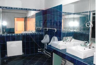 Spațiu comercial, de 250 mp, în Teiul Doamnei - 3