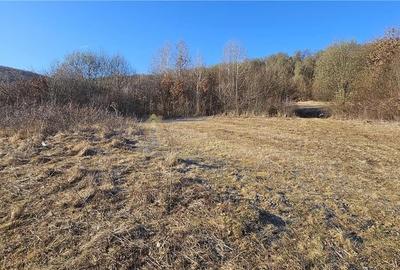 TEREN EXTRAVILAN 6119 MP TAUTI - 2