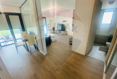 Apartament cu 1 camere decomandat, mobilat în Aviației - 7