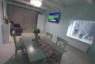 Casa 3 camere de inchiriat Palazu Mare - 9