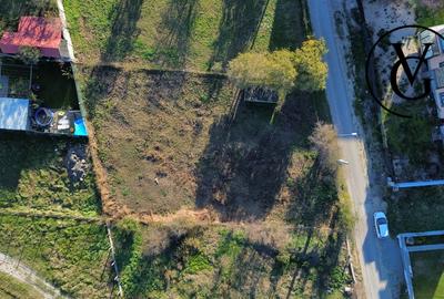 Teren constructii - Palazu Mare -Langa lac - 6