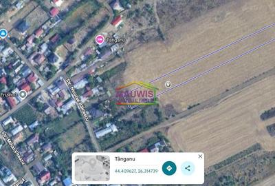 Teren de 11120 mp, în Cernica