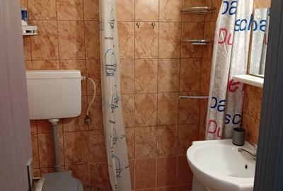 Garsonieră în Craiovița Nouă - 5