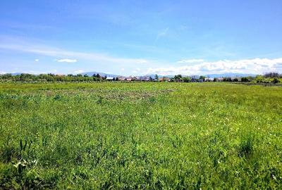 Teren de 5000 mp, în Podu Oltului - 4