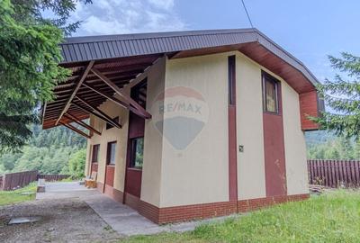 Casa de vacanta sau investitie turistica in Gresu - langa Lepsa - 24