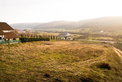 RECO Teren intravilan  langa padure-PUZ  aprobat -Betfia, aproape de Baile Felix - 7