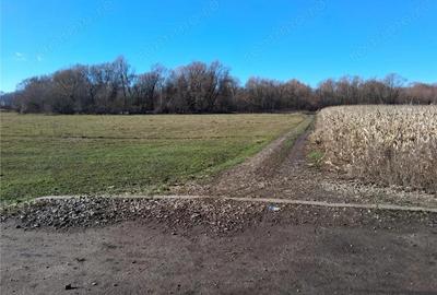 Teren intravilan 14780 mp, comision 0%, inTopolita, Neamt, pretabil afacere - 4