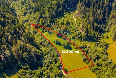 COMISION 0% Teren Bradet 7300 + 6000 mp/ Sacele /Intravilan - 2