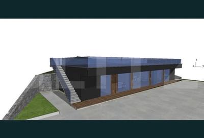 Casă cu 4 camere cu Teren 16418 Mp în Central - 9