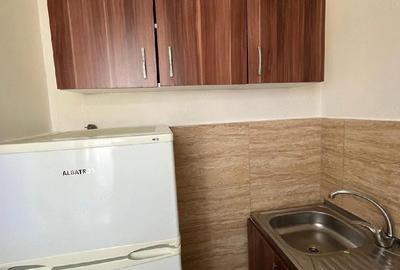 Garsonieră decomandată în Orașul Nou - 13