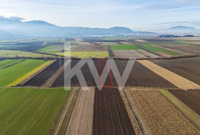 Teren extravilan in Sacele-3500mp, Comision cumparator 0% - 1