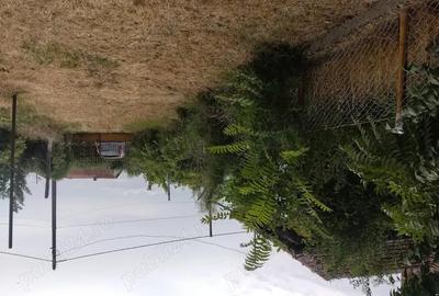 Casă cu 3 camere cu Teren 2110 Mp în Domănești - 3