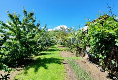 Casă individuală cu 4 camere cu Teren 4037 Mp în Samarinești - 15