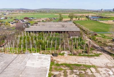 Teren Industrial 3Ha si Hala 1000mp de Vanzare in Tomesti - IASI - 10