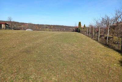 Spațiu comercial, în Rășinari - 5