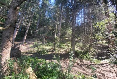 Teren, Ideal pentru Investitie Sau Dezvoltare - 17