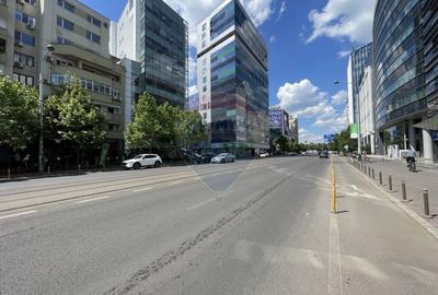 Spatiu birouri / office Piata Victoriei - Sanador - 13