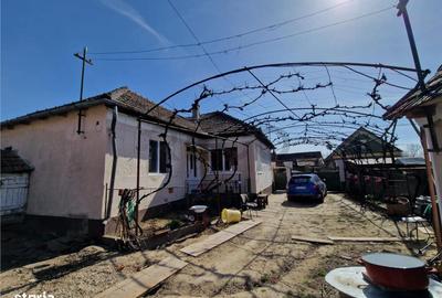 Casă cu 3 camere în Săbolciu - 6