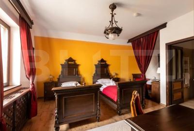 Conac de vanzare 7 camere cu bai proprii, crama, ciubar si potential - 14