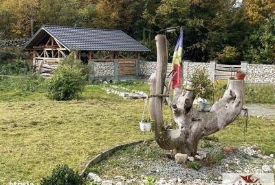 Casă cu 4 camere în Bălmoșești - 3