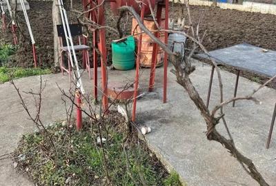 Teren de 421 mp, în Agigea - 2