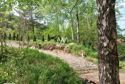 Spațiu comercial, în Gura Râului - 9