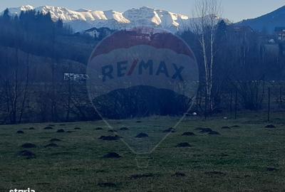 Spațiu comercial, în Central