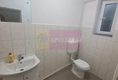 Casa de vanzare in Campina (spatiu comercial) - Zona Lidl - 12