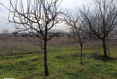 Teren de 4625 mp, în Frecăței - 6