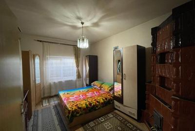 Casa P+1 cu spatiu comercial inclus si teren de 312mp in zona Brestei - 10