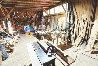 CASA + HALA comuna ALEXANDRU cel BUN - 11