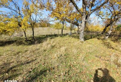 Teren de 10143 mp, în Bâlc - 2