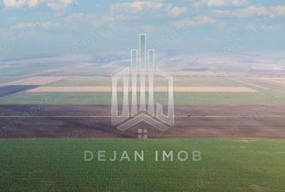 Teren de 5 mp, în Moacșa - 4