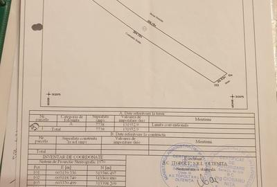 Teren de 7738 mp, în Frumușani