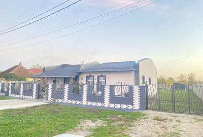 Avand casa pe parter - 6