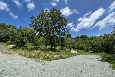 Teren de 886 mp, în Valea Roșie - 2