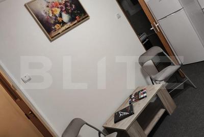 Garsoniera centrala intr-un bloc reabilitat, ideala pent - 20