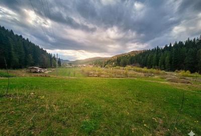 Teren de 21000 mp, în Slatina - 4
