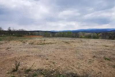 Teren de 26500 mp, în Calea Caransebeșului - 3