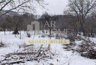 Casă individuală cu 2 camere cu Teren 3300 Mp în Poiana Câmpina - 8