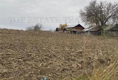 Teren 12223 mp in Prahova - 3