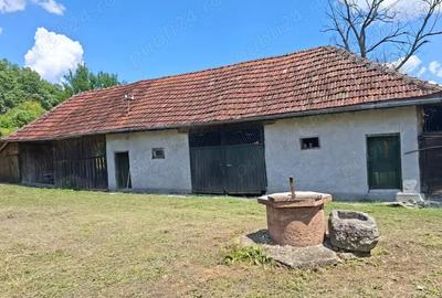 Casă cu 3 camere în Tomești - 1