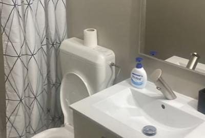 Apartament cu 2 camere nedecomandat, mobilat în City Park Mall - 5