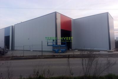 Spațiu industrial, în Cernica - 7