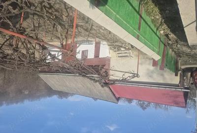 Casă cu Teren 2000 Mp în Preutești - 2