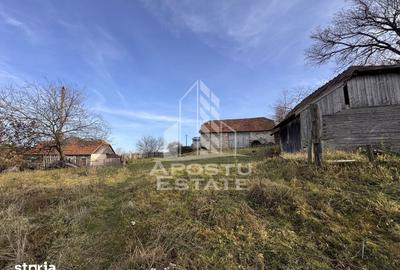 Casă cu 4 camere cu Teren 2231 Mp în Cerbăl - 10