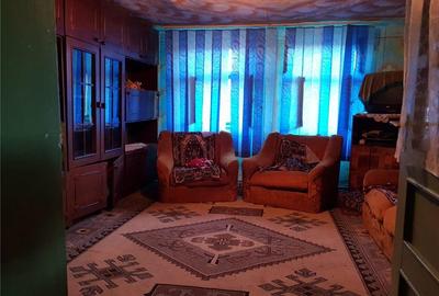 Casă cu 2 camere în Fârliug - 8